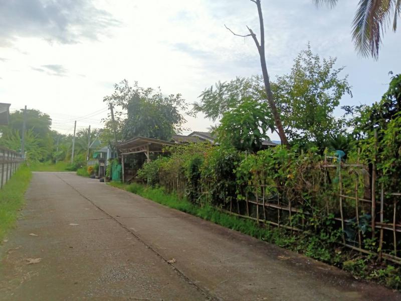 ขายที่ดินตำบลแม่คำเชียงรายที่ดินสวย เจ้าของขายเอง