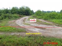 https://chiangmai.ohoproperty.com/206691/ธนาคารกสิกรไทย/ขายที่ดินว่างเปล่า/บ้านกลาง/สันป่าตอง/เชียงใหม่/