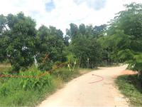 https://chiangmai.ohoproperty.com/206910/ธนาคารกสิกรไทย/ขายที่ดินว่างเปล่า/แม่คะ/ฝาง/เชียงใหม่/