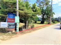 https://chiangmai.ohoproperty.com/212855/ธนาคารกสิกรไทย/ขายที่ดินว่างเปล่า/เวียง/ฝาง/เชียงใหม่/
