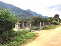 บ้านเดี่ยวหลุดจำนอง ธ.ธนาคารกสิกรไทย ปิงโค้ง เชียงดาว เชียงใหม่