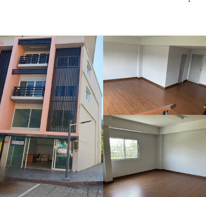 อาคารพาณิชย์หลุดจำนอง ธ.ธนาคารกรุงเทพ สันผีเสื้อ เมืองเชียงใหม่ เชียงใหม่